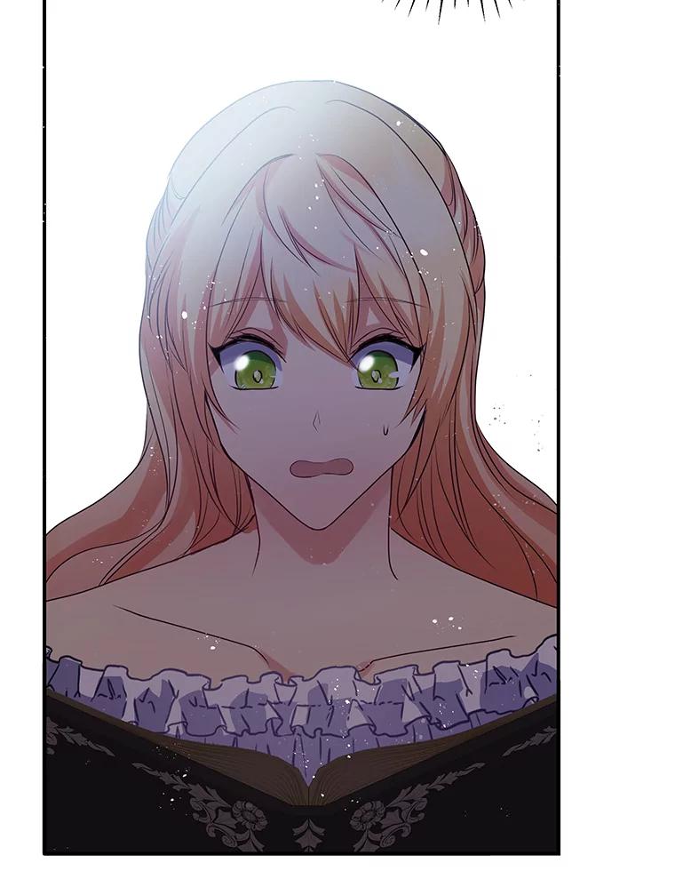 公爵夫人的秘密执笔 27.限定版 第88页