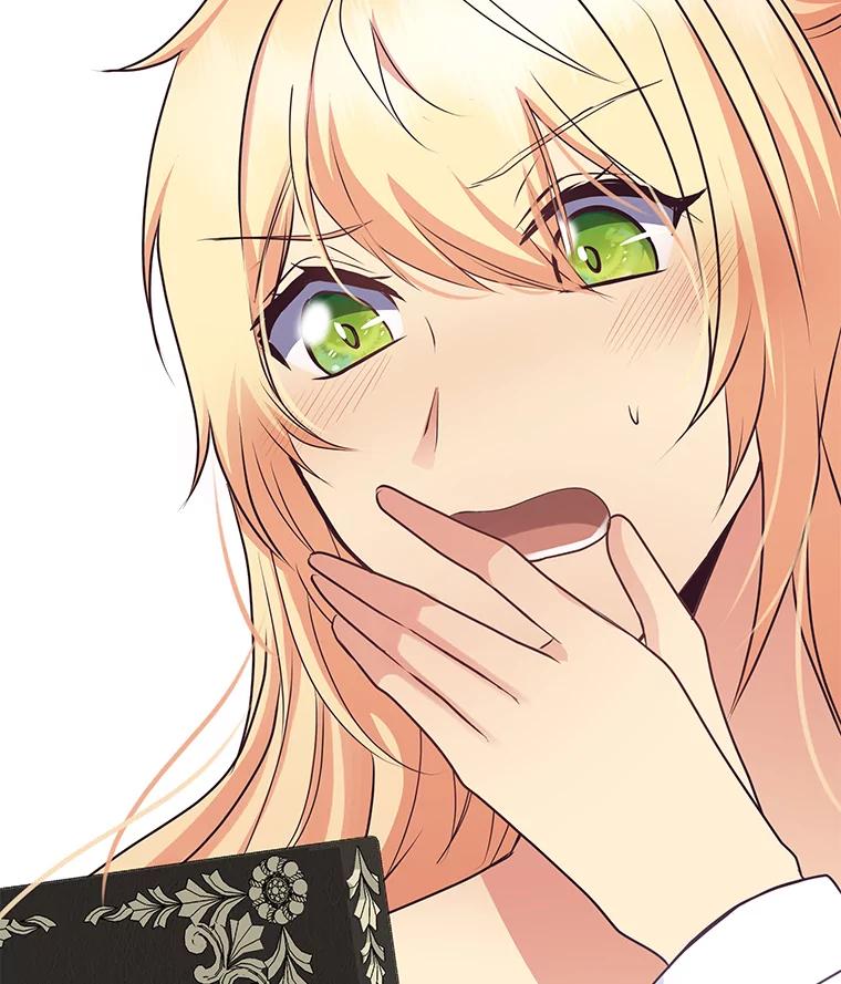 公爵夫人的秘密执笔 27.限定版 第103页