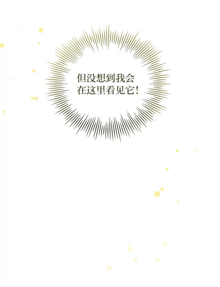 公爵夫人的秘密执笔 28.粉丝福利 第15页