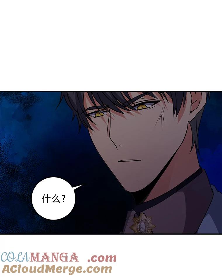 公爵夫人的秘密执笔 29.奇怪的妻子 第117页
