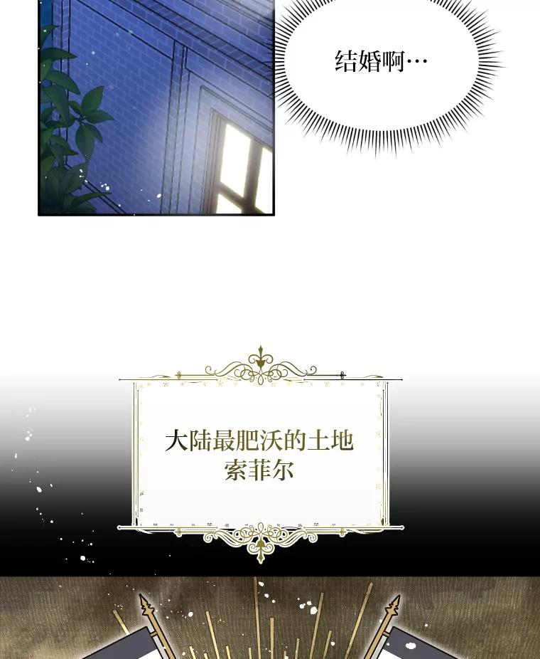 公爵夫人的秘密执笔 3.如果是那个人 第84页