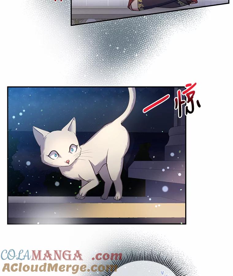 公爵夫人的秘密执笔 4.条件 第58页