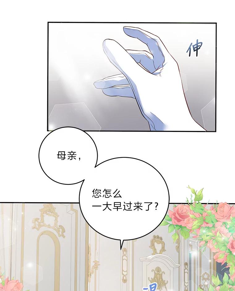 公爵夫人的秘密执笔 6.突如其来的婚事 第62页