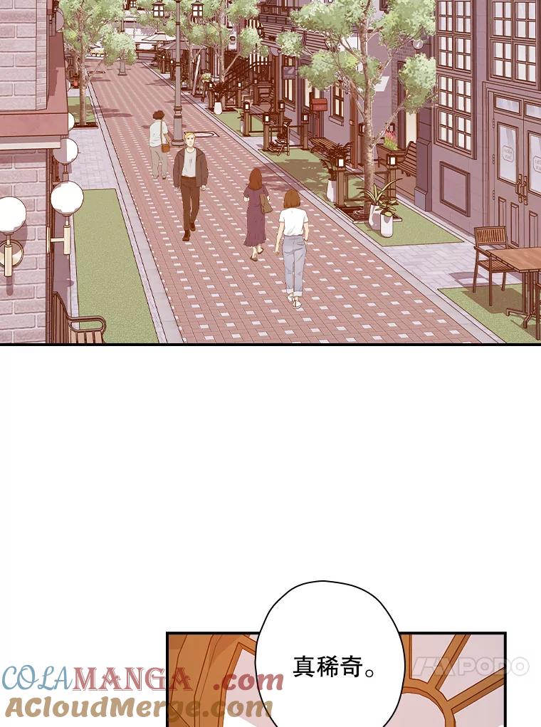 《狗血剧之王》66.坚信 第52页