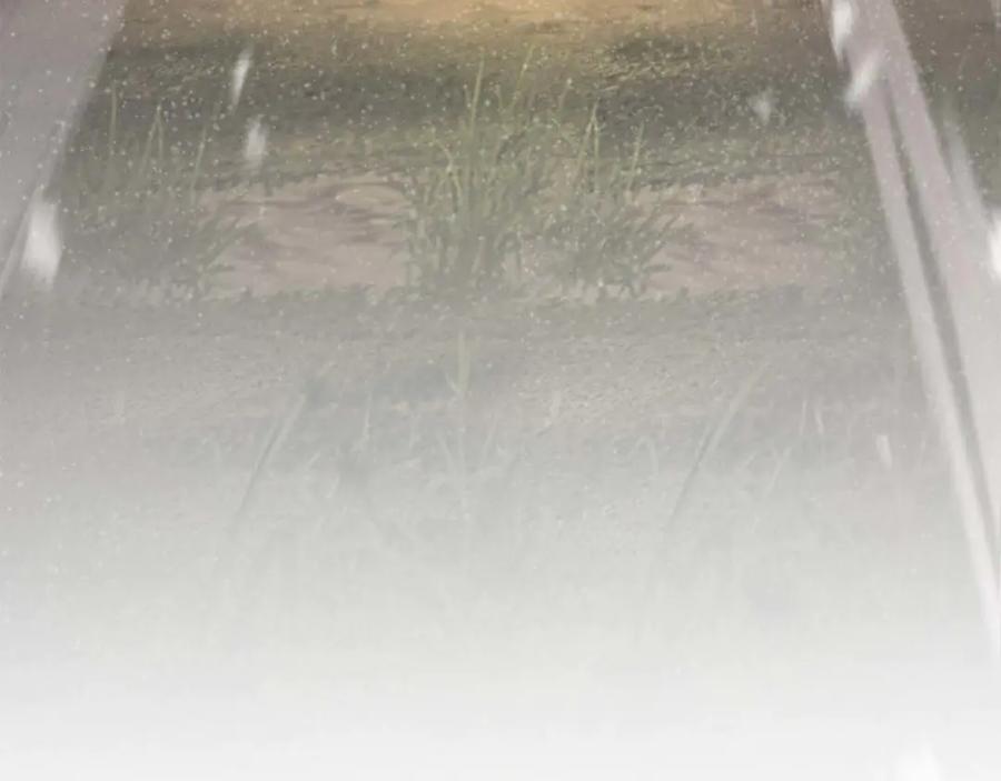 死灵法师：重生的我全技能精通 - 第69话 天堂掉入地狱 - 第382张图