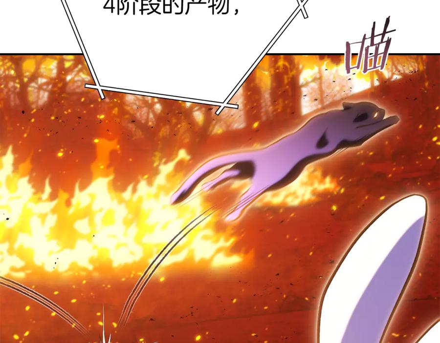 重启地下城 第219话 燃烧森林 第146页