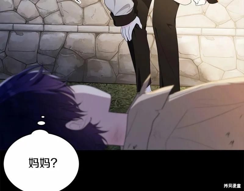 《明明是冷美人小姐却变成了忠犬大少爷》第95话 第218页