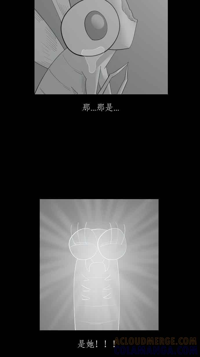 黑盒子 [357话] 奇蹟亭(4) 第35页