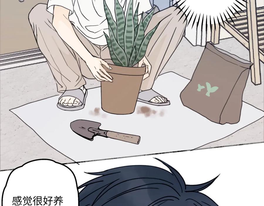 阳生小雪 - 87 寓言.狼来了 - 第100张图