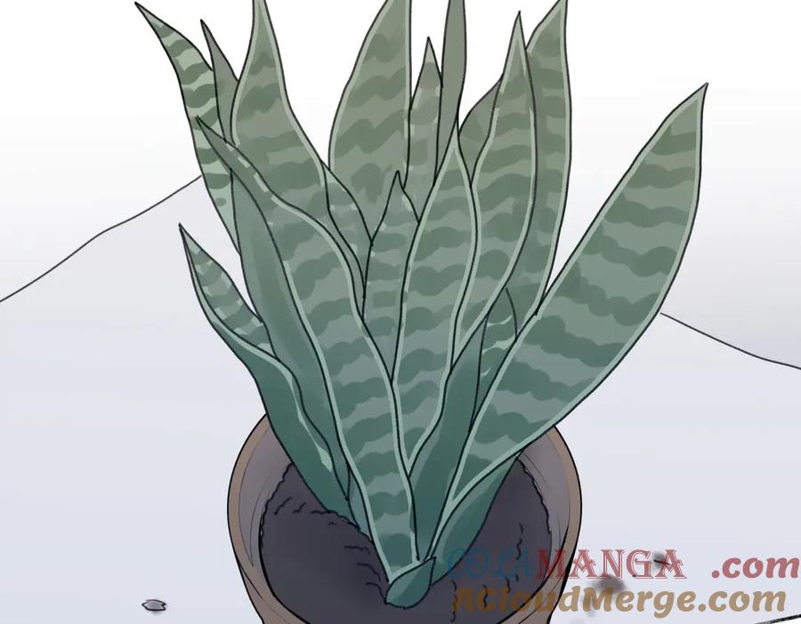 阳生小雪 - 87 寓言.狼来了 - 第97张图