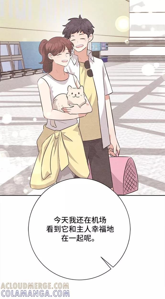 《今天也汪汪》第38话 第43页