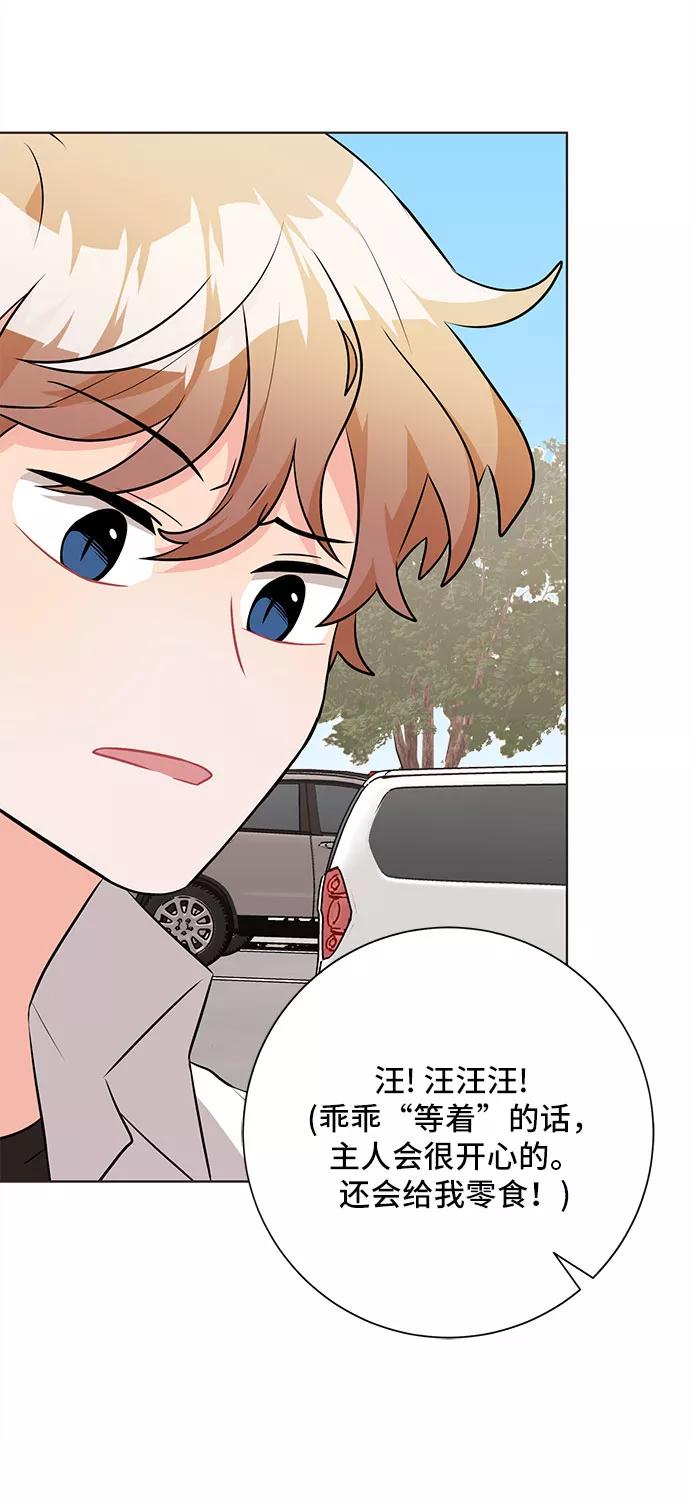 《今天也汪汪》第39话 第14页