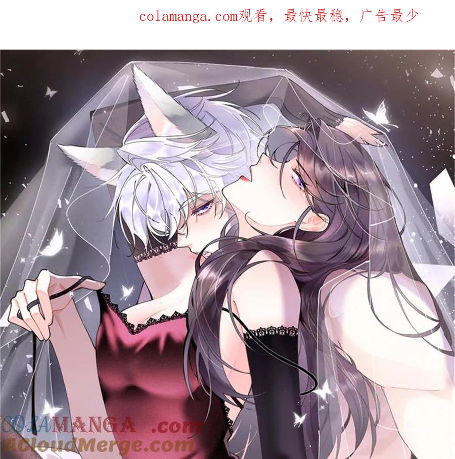 《白天被逃婚晚上被奶凶指挥官求抱》41 离婚了 第1页