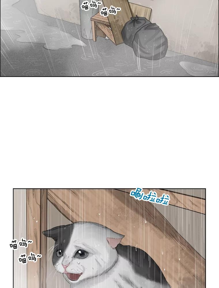 《甜咸男女》118.孤独的猫咪 第3页