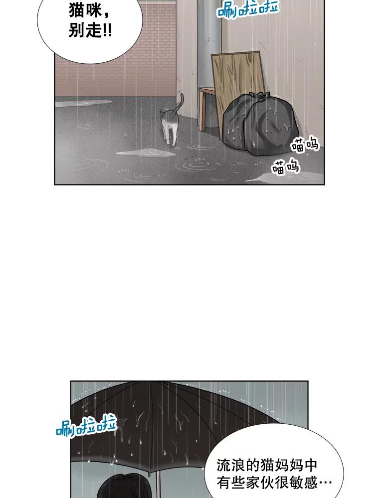 《甜咸男女》118.孤独的猫咪 第36页