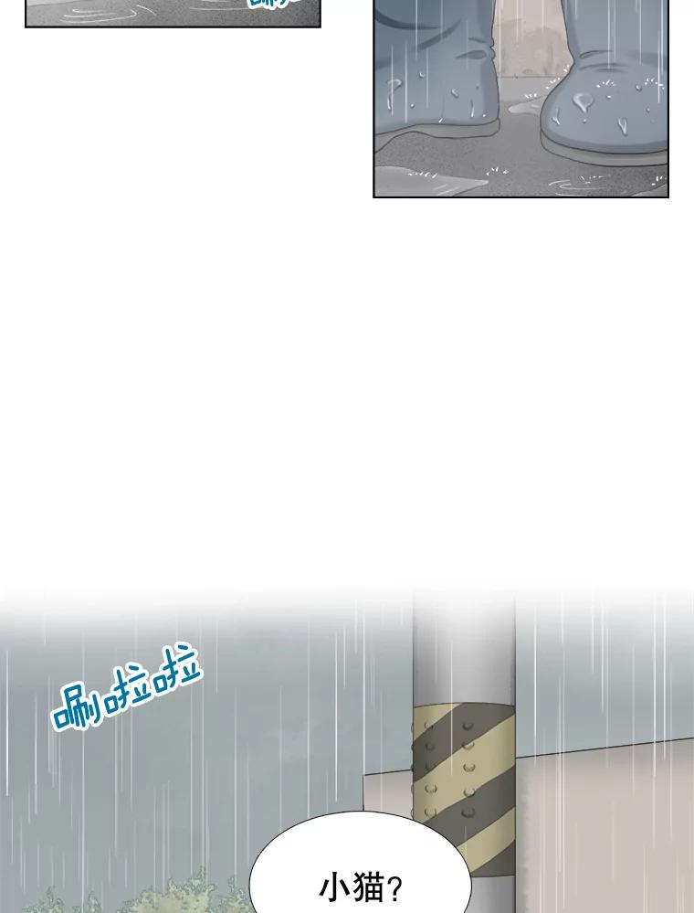 《甜咸男女》118.孤独的猫咪 第5页