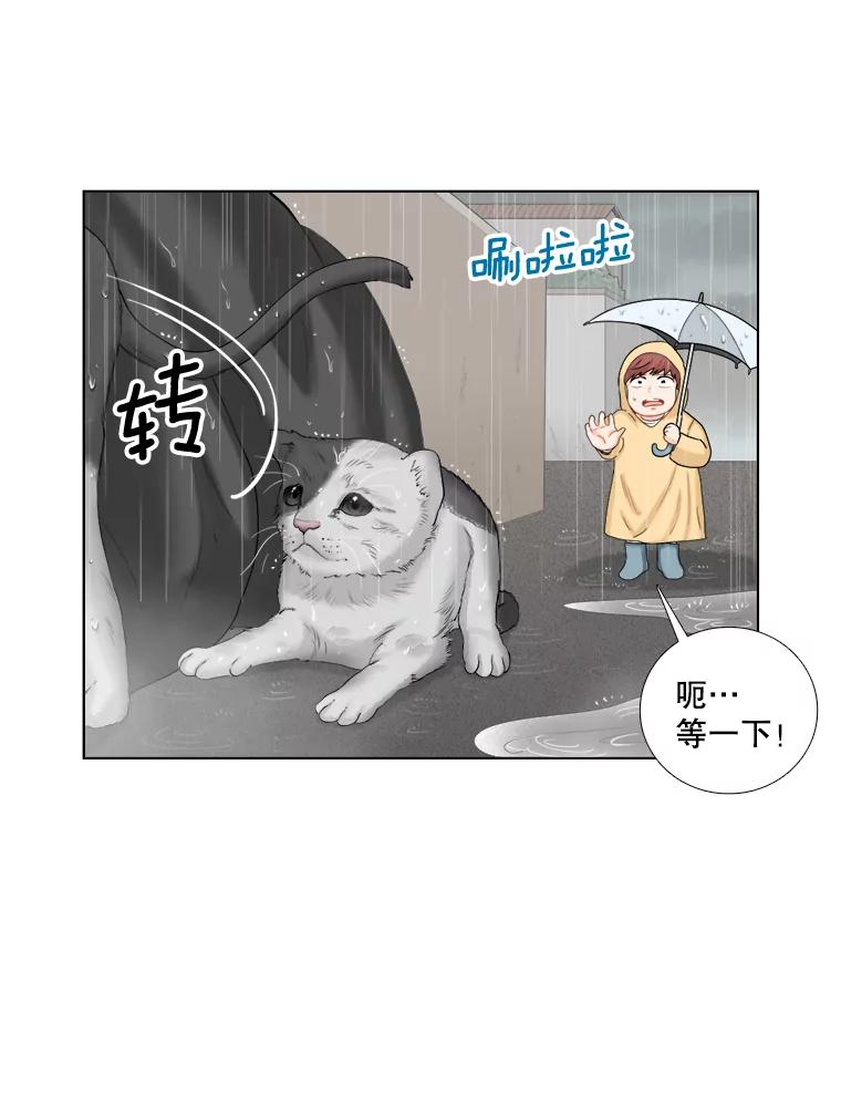 《甜咸男女》118.孤独的猫咪 第33页