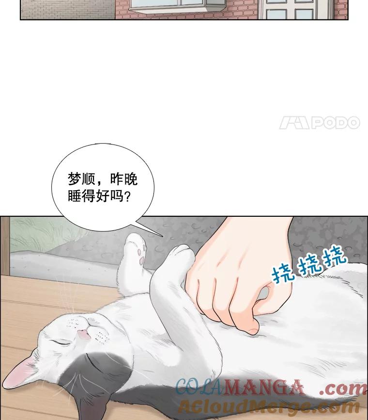 《甜咸男女》118.孤独的猫咪 第49页