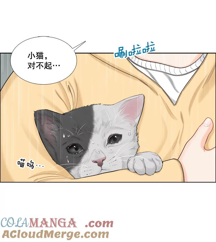 《甜咸男女》118.孤独的猫咪 第43页