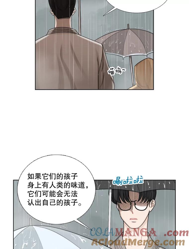 《甜咸男女》118.孤独的猫咪 第37页