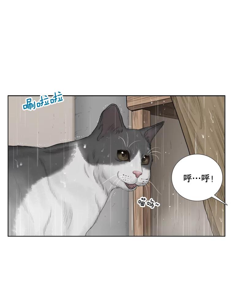 《甜咸男女》118.孤独的猫咪 第27页