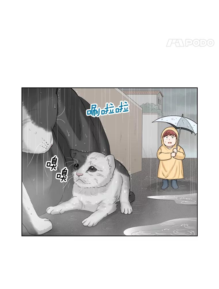 《甜咸男女》118.孤独的猫咪 第32页