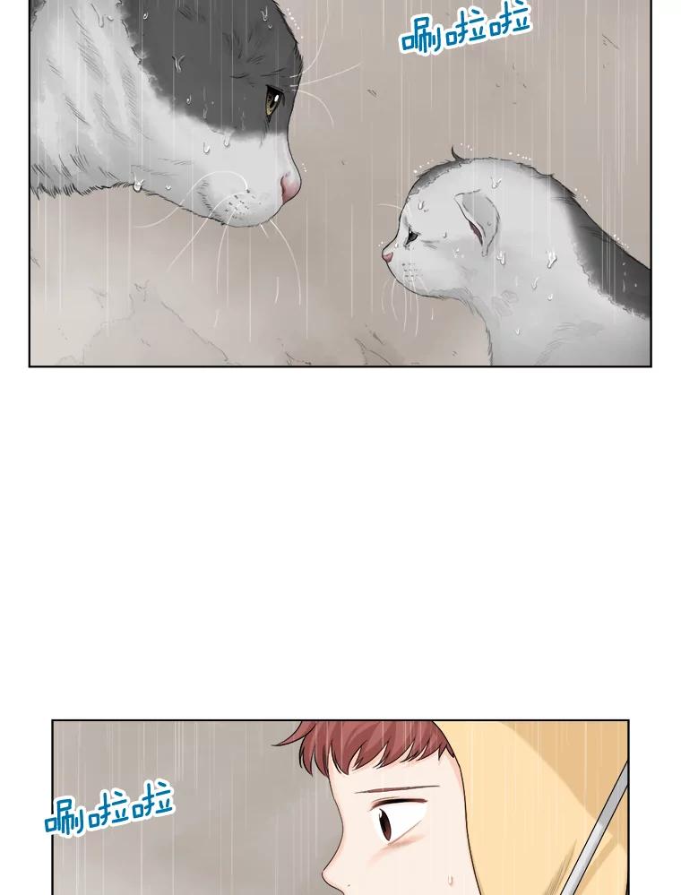 《甜咸男女》118.孤独的猫咪 第30页