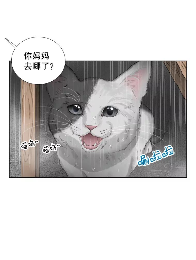 《甜咸男女》118.孤独的猫咪 第8页