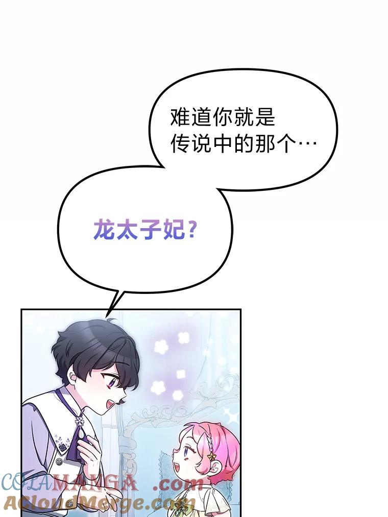《宝贝龙太子妃驯服疯子》12.两面派 第67页
