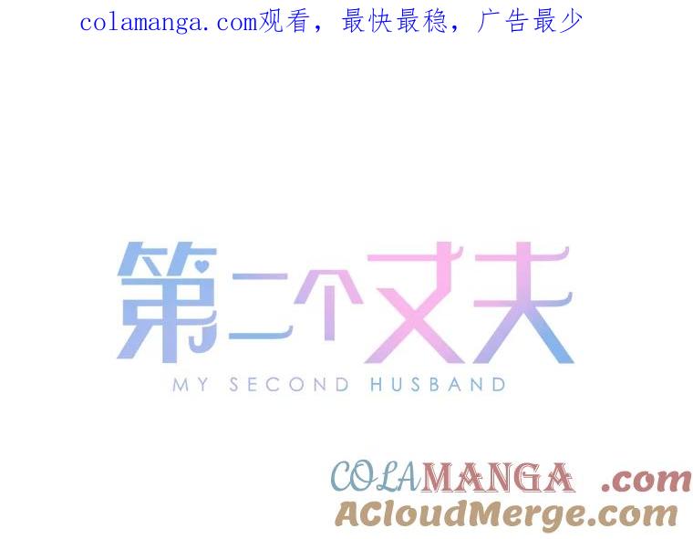 《第二个丈夫》14.整理关系 第1页