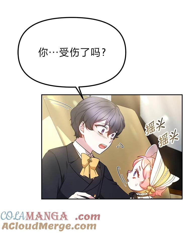 《宝贝龙太子妃驯服疯子》14.禁术 第40页