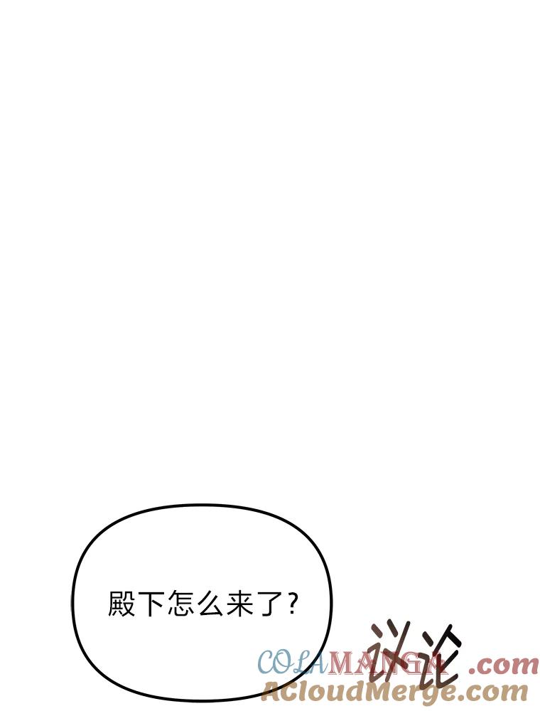 《宝贝龙太子妃驯服疯子》14.禁术 第76页