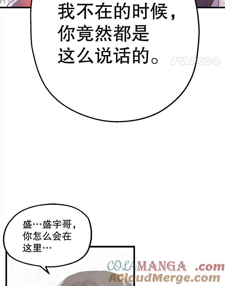 《第二个丈夫》15.盛宇约谈世娜 第25页