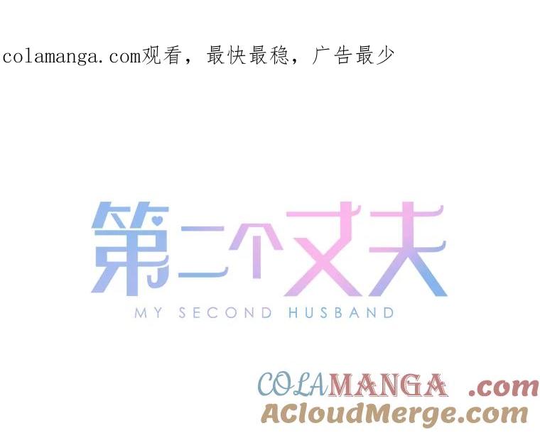 《第二个丈夫》16.追忆往事 第1页