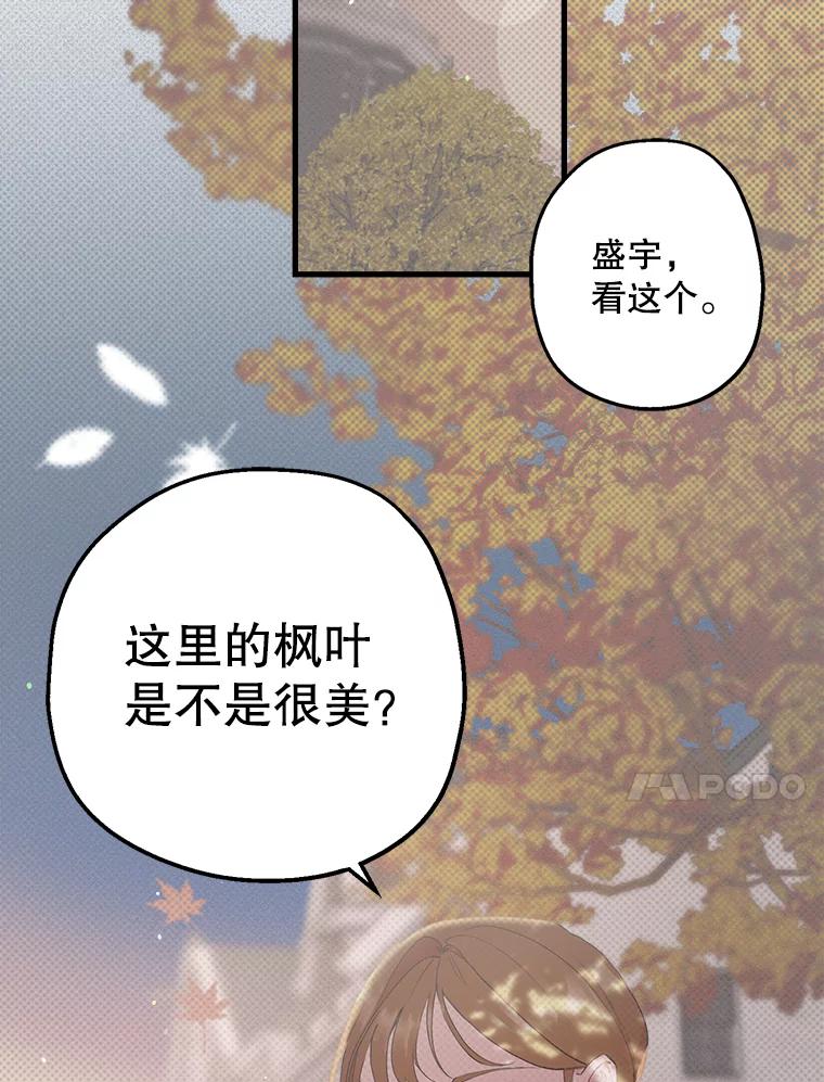 《第二个丈夫》16.追忆往事 第86页