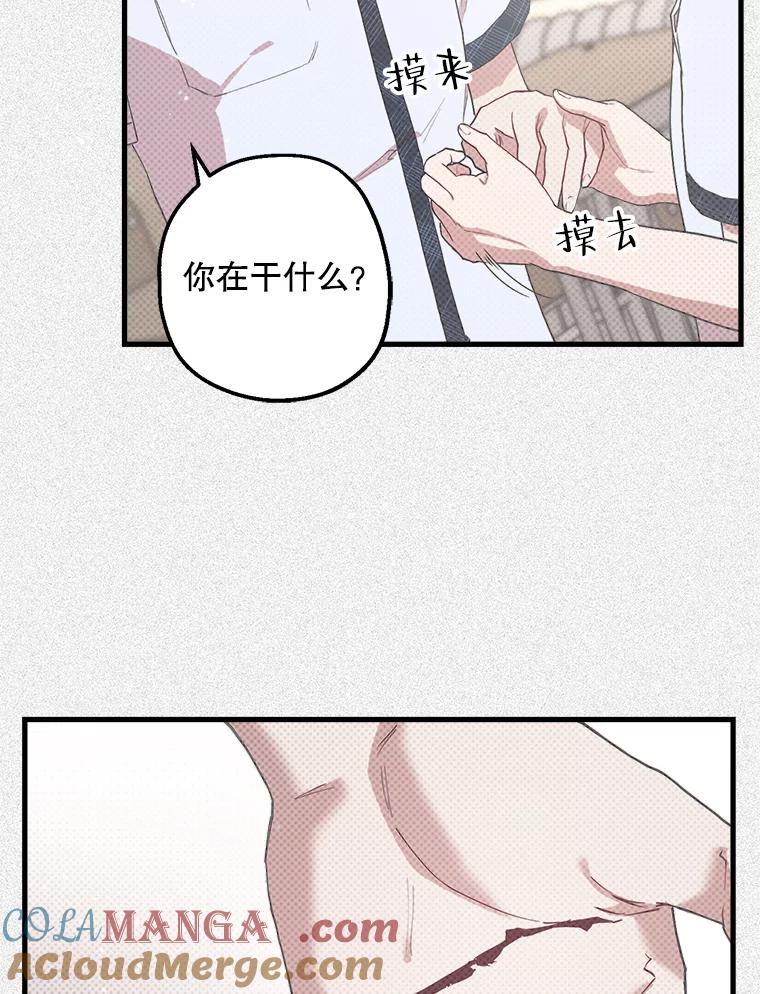 《第二个丈夫》16.追忆往事 第49页