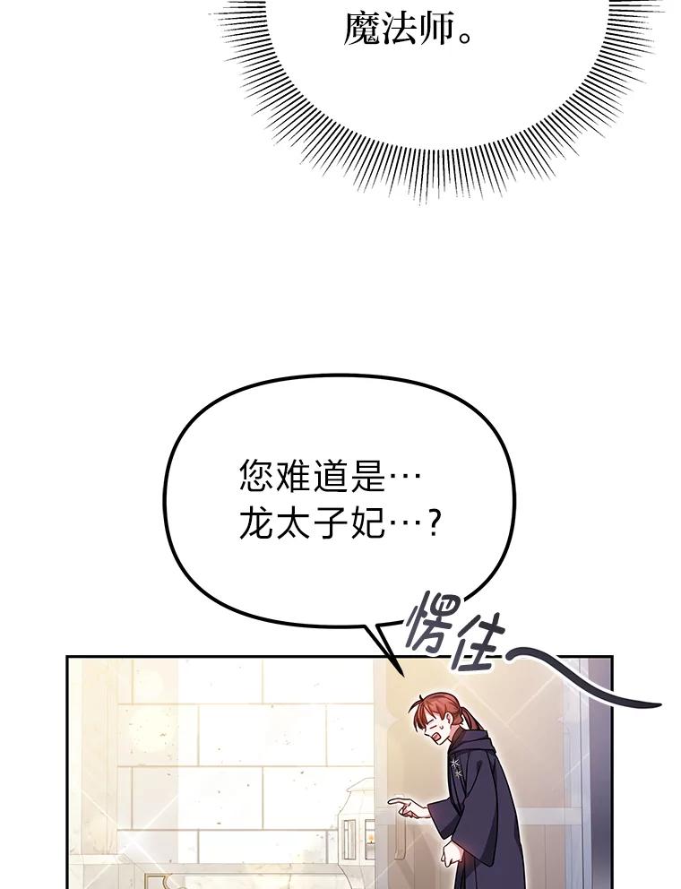 《宝贝龙太子妃驯服疯子》17.迷糊魔法师 第45页