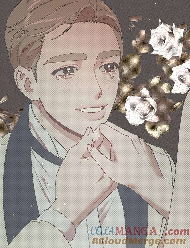 《第二个丈夫》23.表明心意 第29页