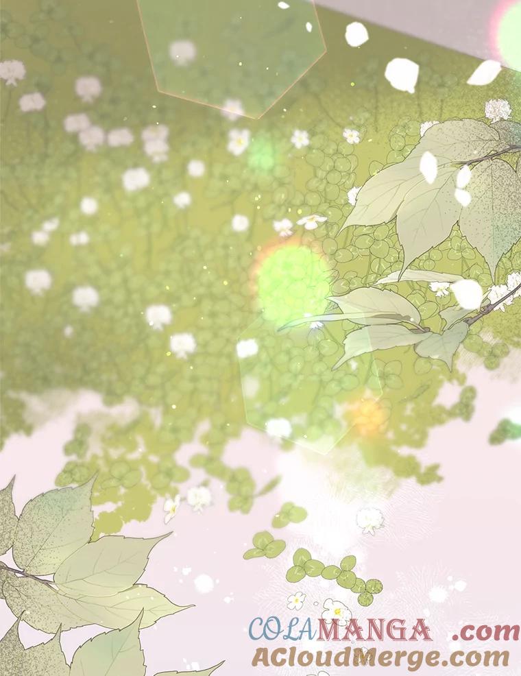 《第二个丈夫》23.表明心意 第85页