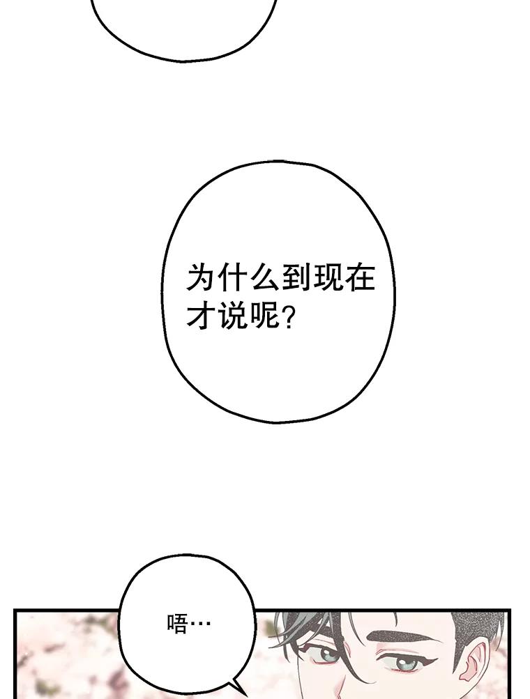 《第二个丈夫》23.表明心意 第68页