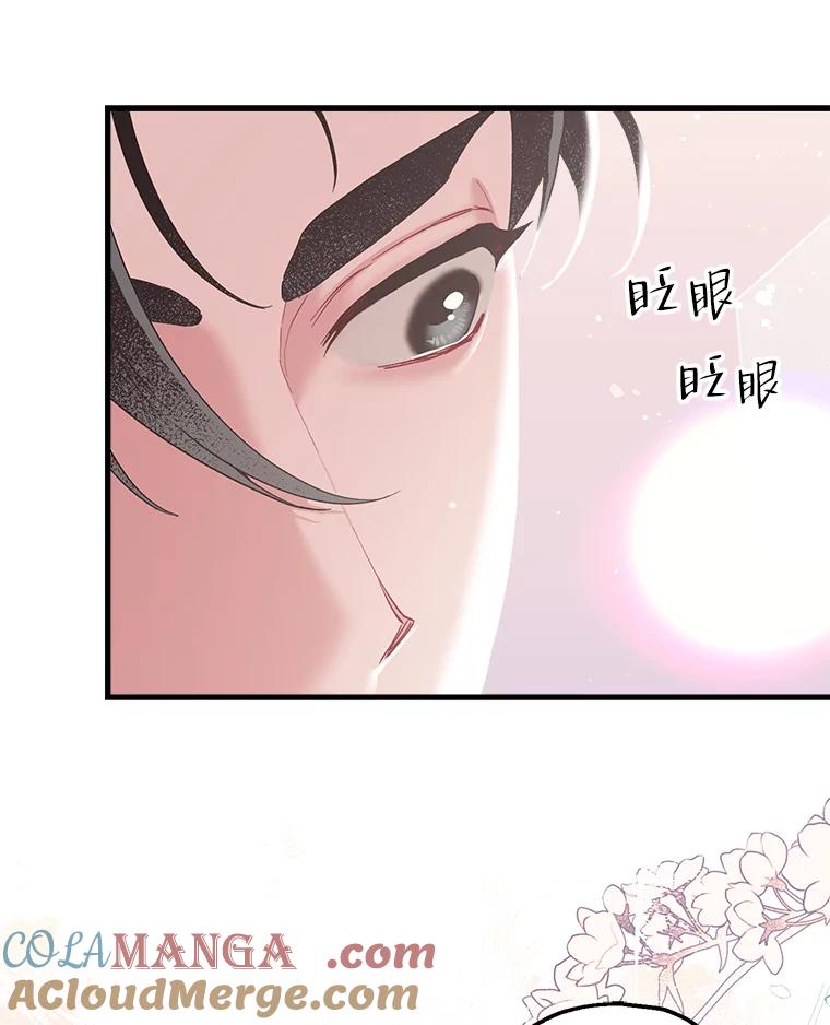《第二个丈夫》23.表明心意 第13页