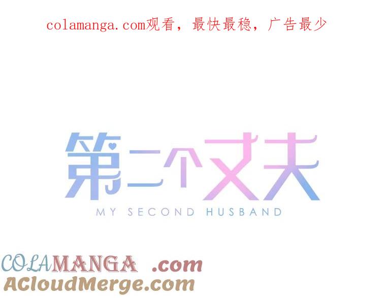《第二个丈夫》25.偶然遇见 第1页