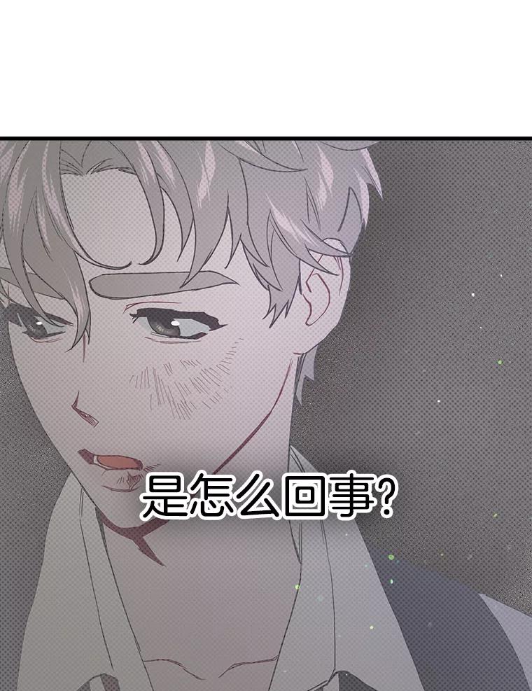 《第二个丈夫》26.英雄救美 第111页