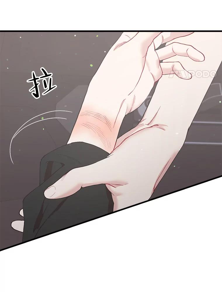 《第二个丈夫》28.情敌相见 第74页
