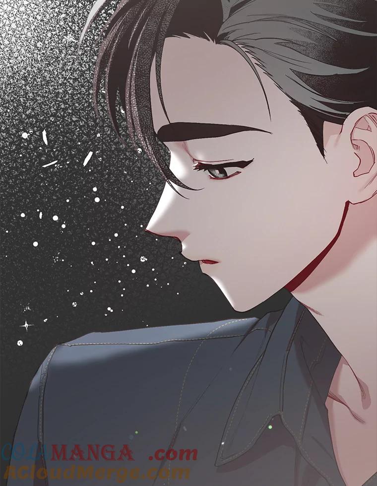 《第二个丈夫》29.再次告白 第13页