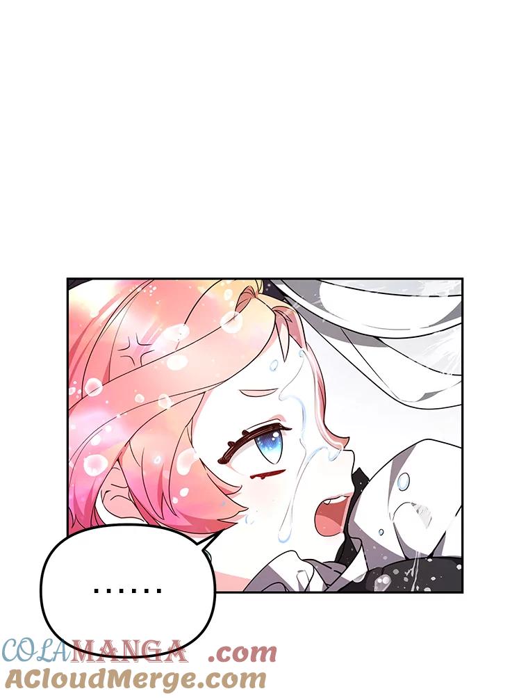《宝贝龙太子妃驯服疯子》3.公女待遇太差了 第13页