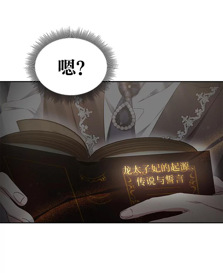 《宝贝龙太子妃驯服疯子》7.性格迥异的哥哥 第104页