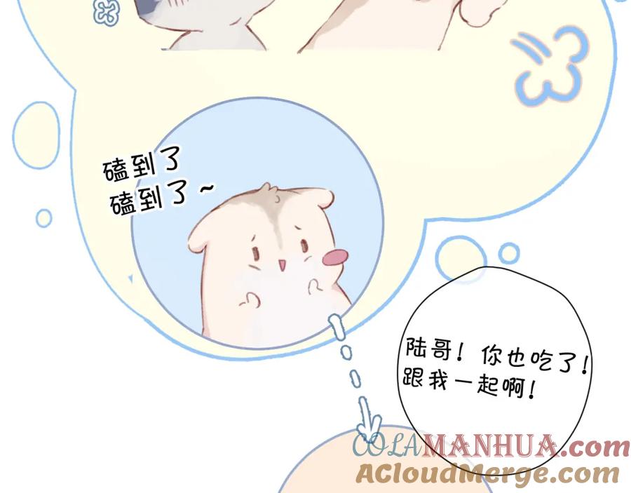 《保护我方大大》第94话 前夕 第49页