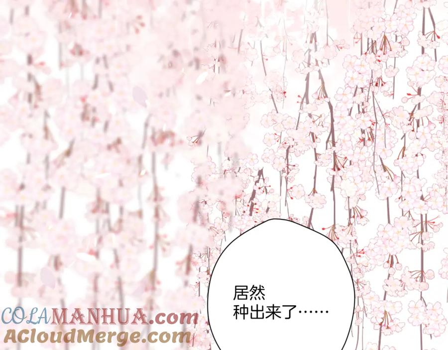 《保护我方大大》第118话 落樱 第133页