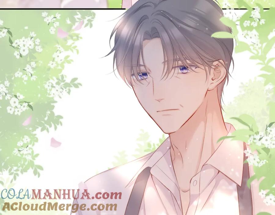 《保护我方大大》第118话 落樱 第137页